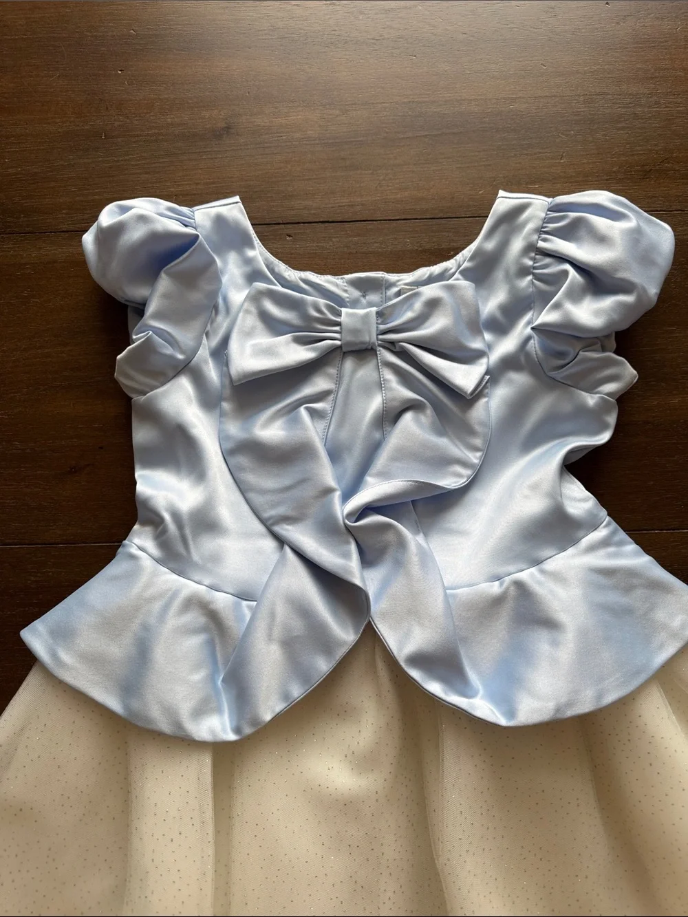 NWOT Sz 10 Disney X Janie and Jack Cinderella tulle dress